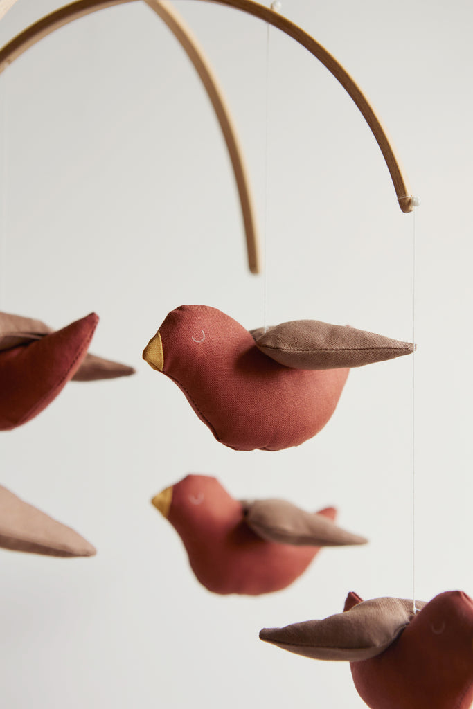 Robin Mobile – Minor Things